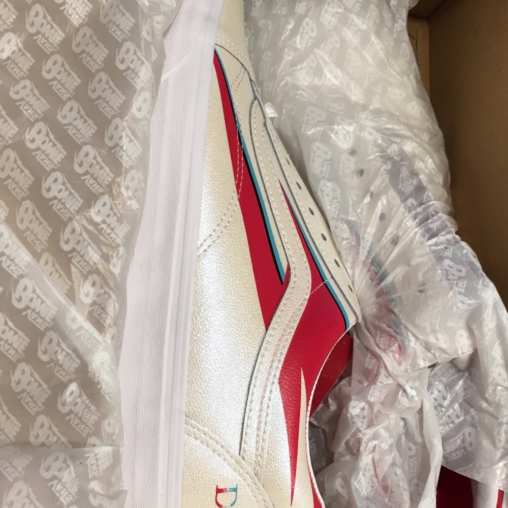 Aladdin Sane David Bowie Vans!!